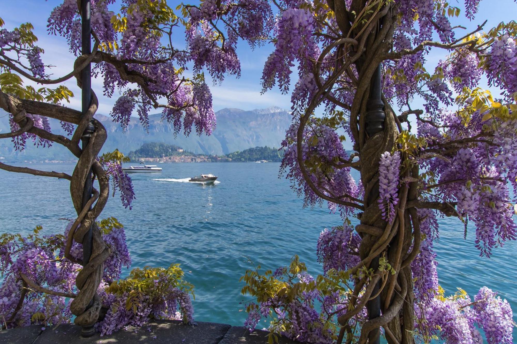 Belvedere Mansarda Tremezzo Dış mekan fotoğraf
